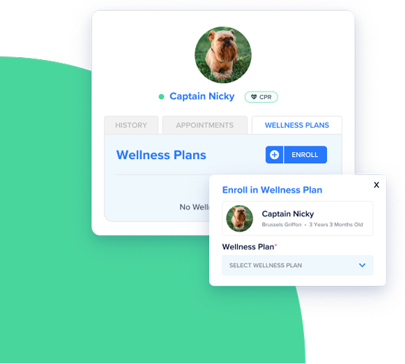 Wellness Plans